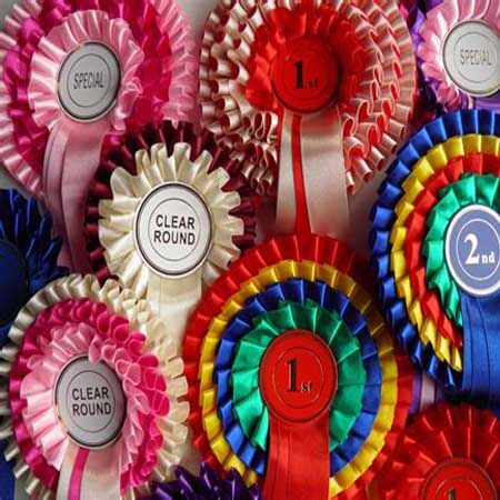 horse dog show award rosette